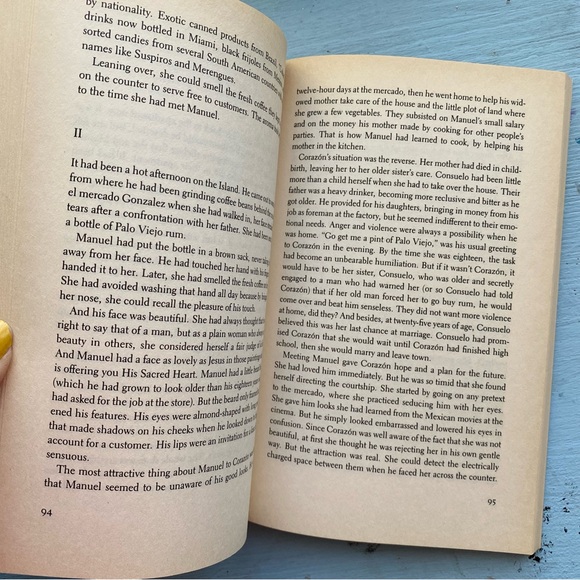 Hispanic Heritage 90s VTG Paperback Book: The Latin Deli by Judith Ortiz Cofer - Picture 6 of 7